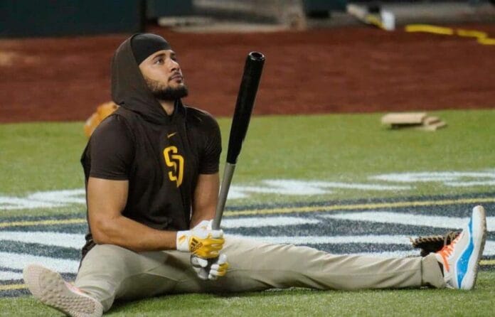 tatis-41dca3d5-focus-min0.27-0.4-895-573