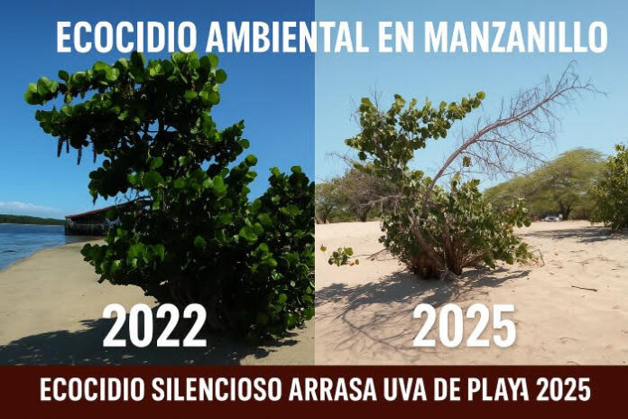 ecocidio